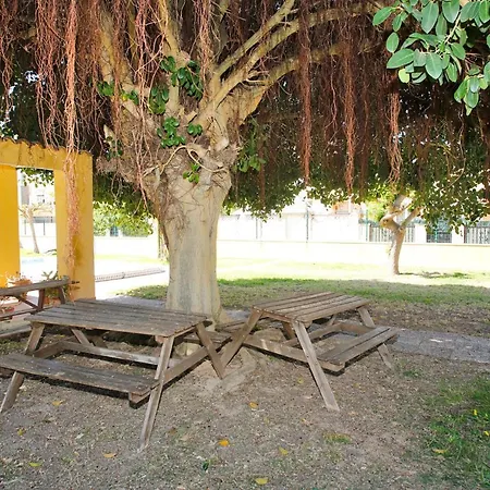 Cost Vacation House With Pool Apartamento Torrevieja